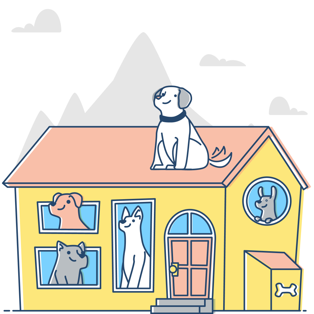 pet-trainer-illustration-06@2x