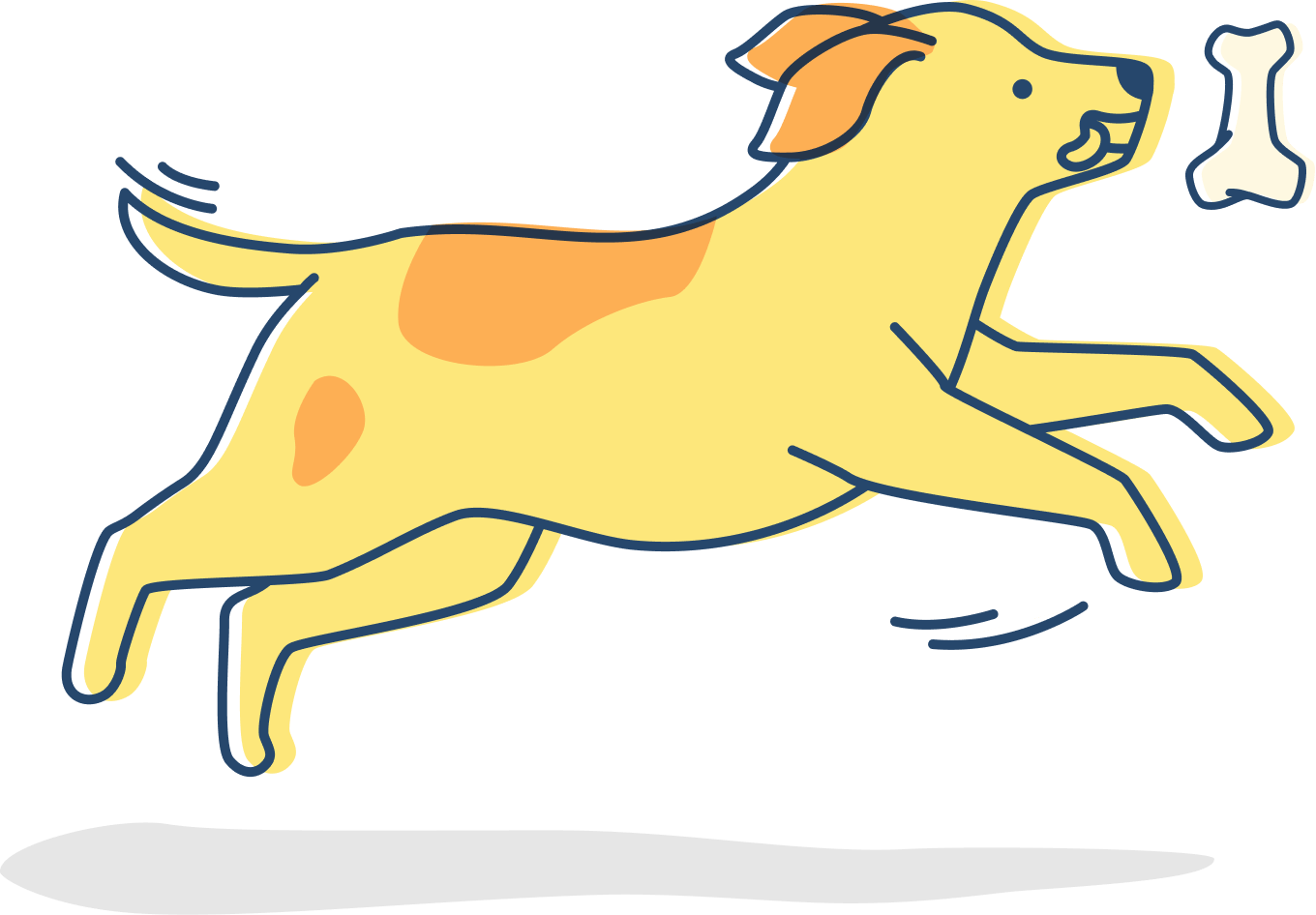 pet-trainer-illustration-12@2x